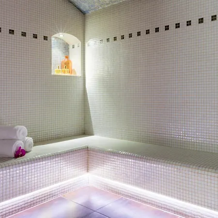 Hotel Western Premier De La Poste&spa Troyes